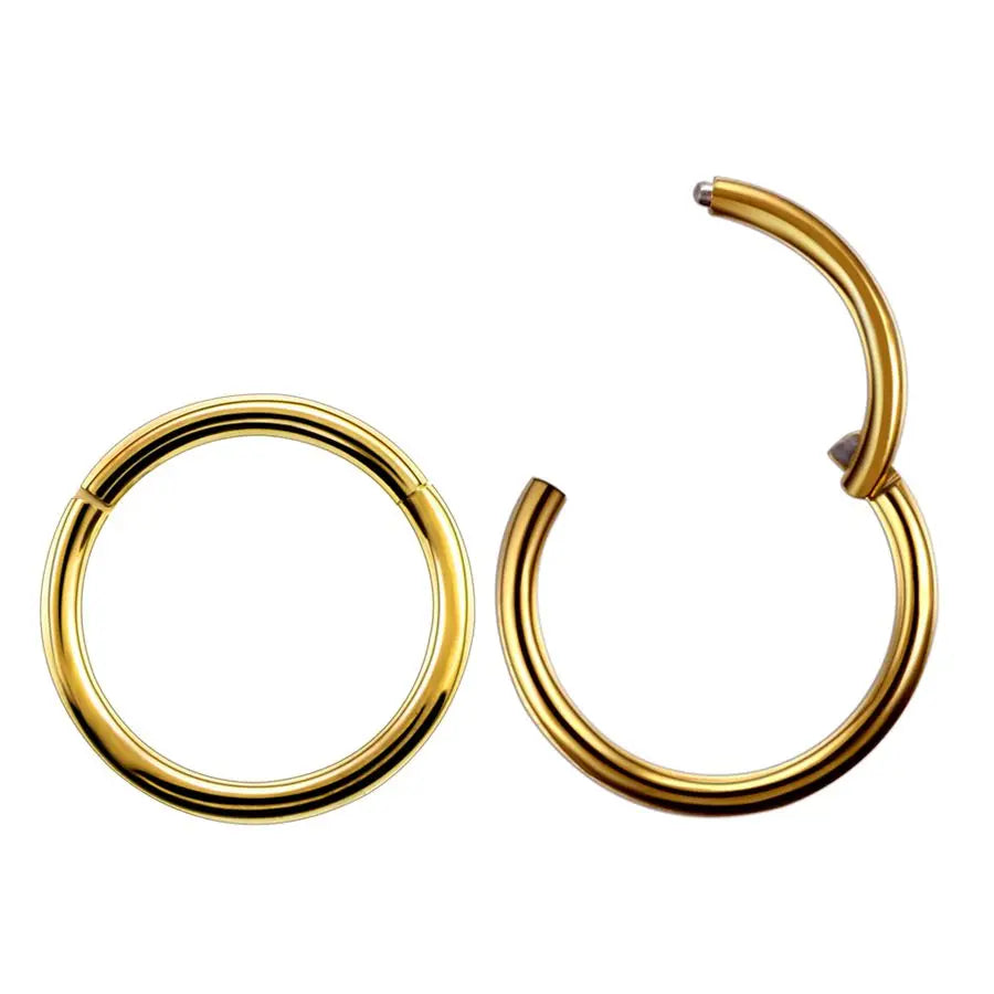 2pcs/lot G23 Titanium Hinged Segment Nose Rings Lip Eyebrow Nipple Clicker Ear Septum Helix Tragus Captive Piercing Body Jewelry