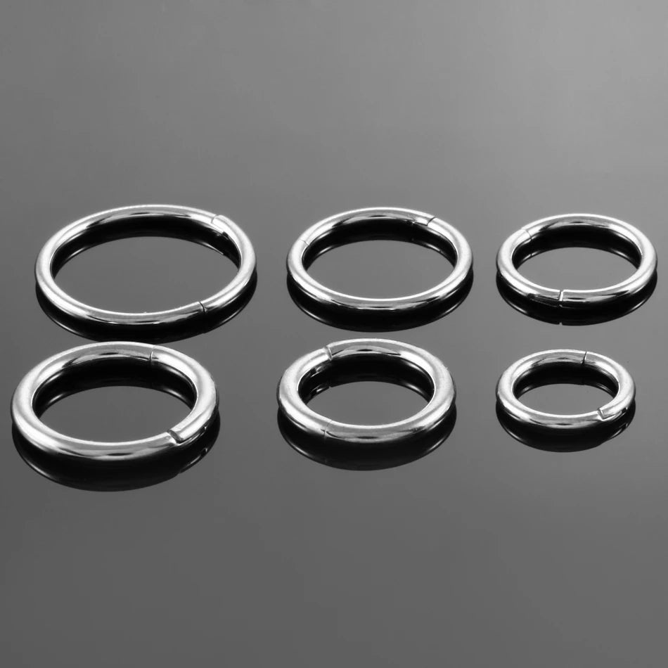 2pcs/lot G23 Titanium Hinged Segment Nose Rings Lip Eyebrow Nipple Clicker Ear Septum Helix Tragus Captive Piercing Body Jewelry